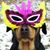 Diane Richardson's profile image