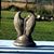Darice Langaas Kessler's profile image