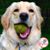 Louella Long's profile image