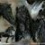 Javier Sevilla's profile image