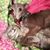 Holly Reinheimer's profile image