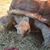 Michelle Taft's profile image