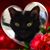 Candace Young's profile image