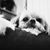 Carrol Clark's profile image