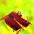 Victor Robinson's profile image