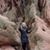Sara Rowland-Minard's profile image