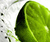Joshua G.'s profile image
