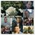 Eduardo Salazar's profile image