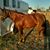 Kimberly Schultz-Olson's profile image
