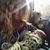 Teri Sysum's profile image