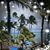 Diane Lee Pilla's profile image