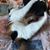Donna Newsom's profile image