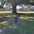 Karla Polkow Winningham's profile image