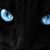 Attaya M. Joseph's profile image