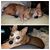 Lisa Beth Shifrin Bridges's profile image