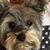 Gena Newmaster May's profile image