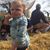 Donna Casini's profile image