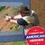 Todd Meiners's profile image