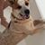Terri Purvis's profile image