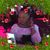 Bettie MsSuccessfuljamaican Burgess's profile image
