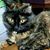 Cynthia Boyd's profile image