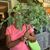 Eileen Marshall Gallucci's profile image