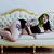 Bailey Paige Brunner's profile image