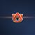 Brian Spradlin's profile image