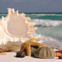 Linda Thomas Gist's profile image