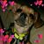 Deb Kay Phillips's profile image