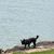 Anna Sharp Sellers's profile image