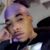 Greg Crayton's profile image