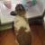 JoEllen Anderson's profile image