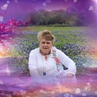 Barbara Perkins's profile image