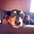 Rosie Scholz's profile image