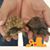 Jo Beth Murphree DeVore's profile image