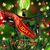 Michele Rizzo's profile image