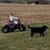 Nikki Whisler's profile image