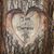 Theresa Lipari's profile image