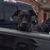 Mark Wilson's profile image