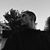 Miguel Rodrigues's profile image