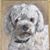 Lisa Angus's profile image