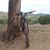 Juan Carlos Delvalle's profile image