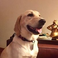 Ken Trauthwein's profile image