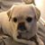 Kim Sacay's profile image
