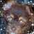 Susan Smith's profile image