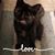 Judy Johnson's profile image