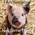 Salette Andrews's profile image