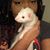 Stephanie Ticey's profile image