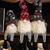 Sandy Stowell Harris's profile image